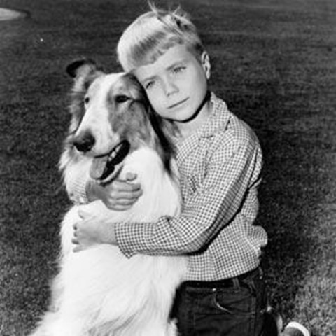 !cid_DE26E966643E43C9A755B2F68397CBBA@Smokey